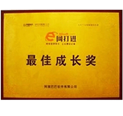 阿里软件最佳成长奖