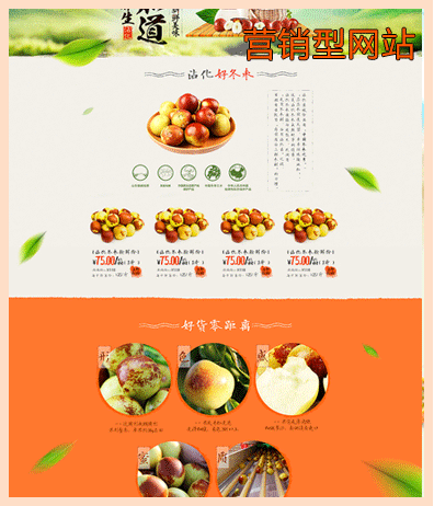 天极科技