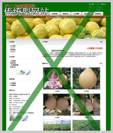 天极科技