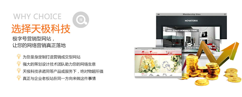 极字号营销型网站，让您的网络营销真正落地！