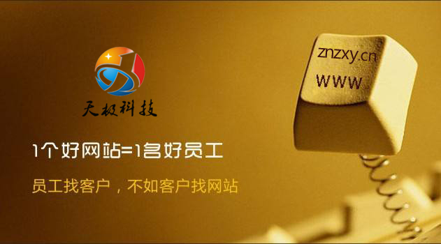 [天极科技智推]营销型网站设计之首页设计