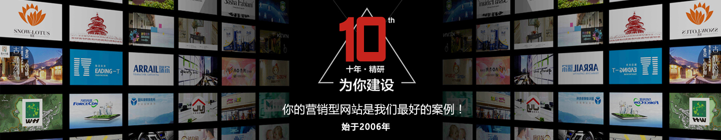 企业营销型网站案例